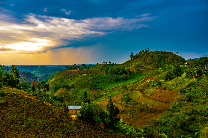 Five Surprising Facts About Uganda | Shutterstock