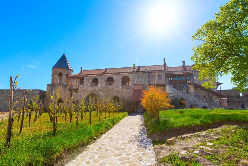 The Hidden Wine Haven of Tbilisi  | Shutterstock