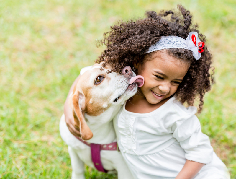 Why Your Children Should Have Pets from a Young Age | Shutterstock
