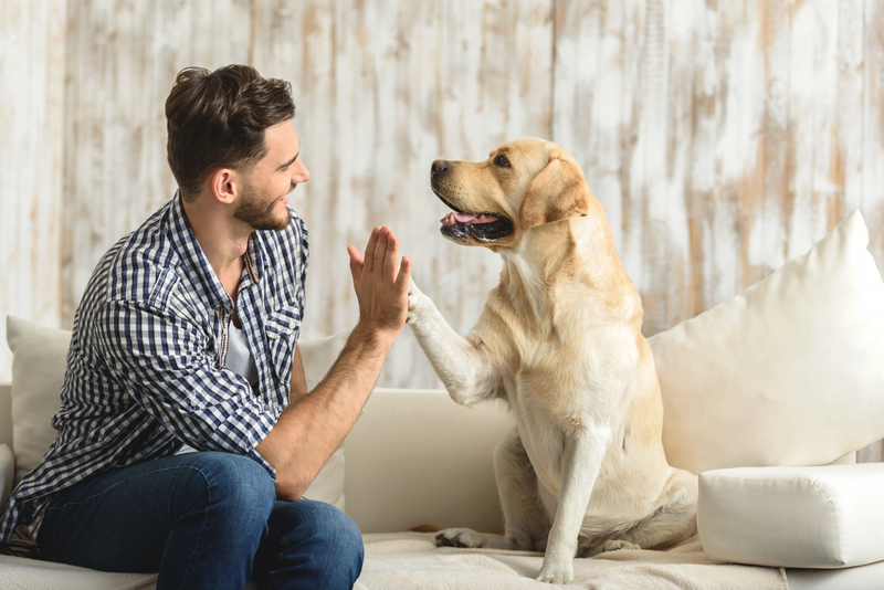 Owning a Dog Can Be Great For Your Well-being. But There is a Small Risk | Shutterstock 