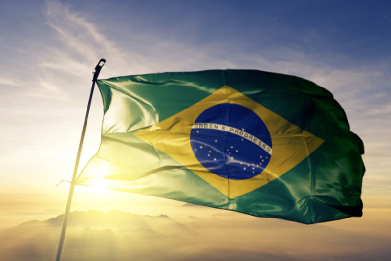 10 Fun Facts Your Kids Probably Don’t Know About Brazil  | Shutterstock