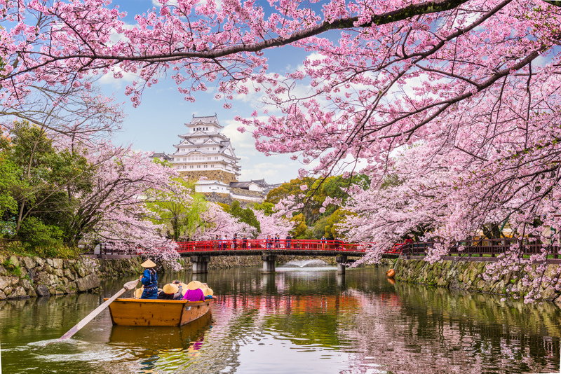 What makes Japan so effortlessly unique | Shutterstock