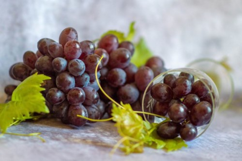 Twelve Grapes, Spain | 