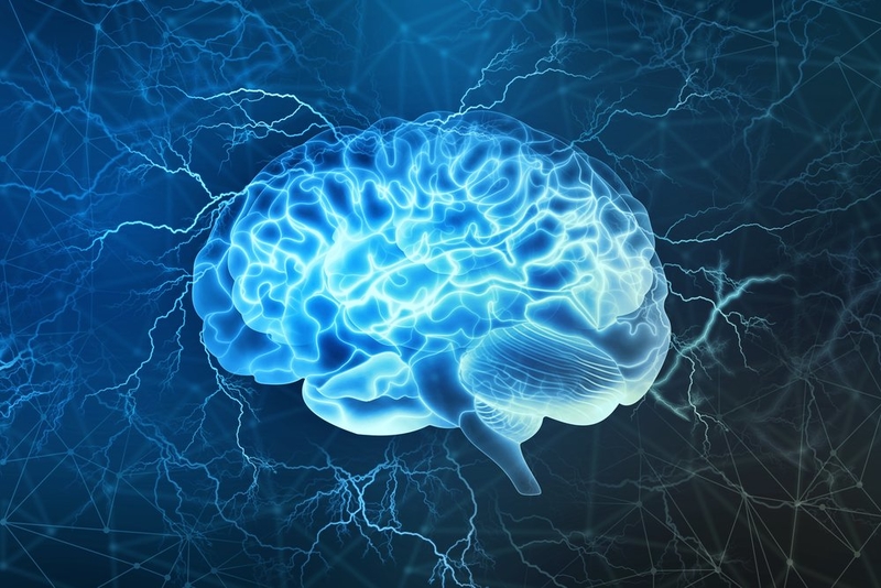 When Does Your Brain Reach Its Full Potential? | 