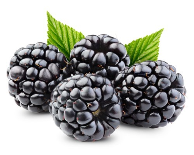 Blackberries | 