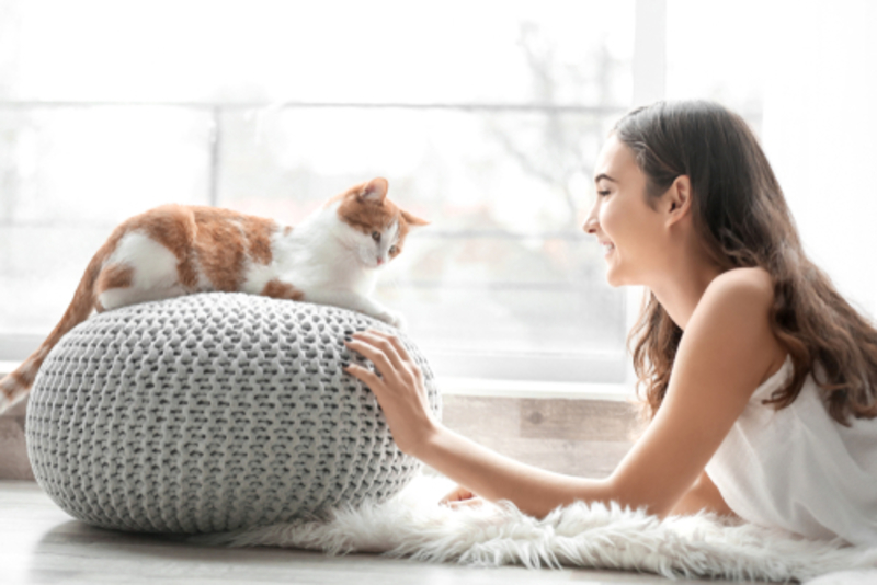 Your Cat Knows Their Own Name, Even If They Seem Indifferent | 