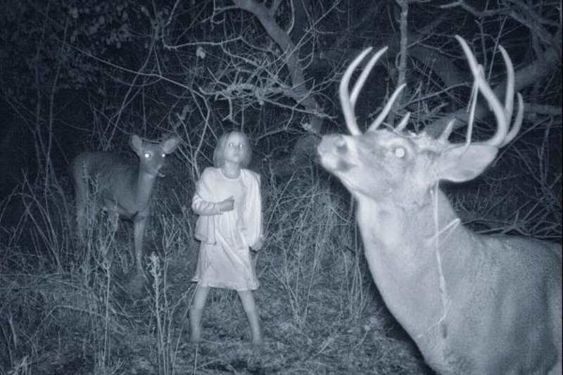 Girl Among The Deer | 