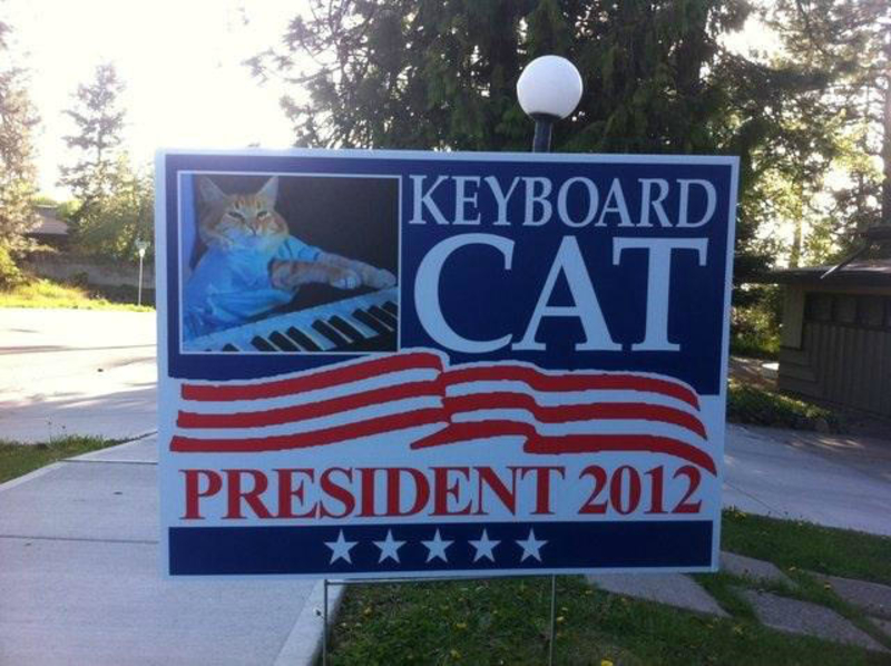 Vote for Cat! | Twitter/@NathalieDavies
