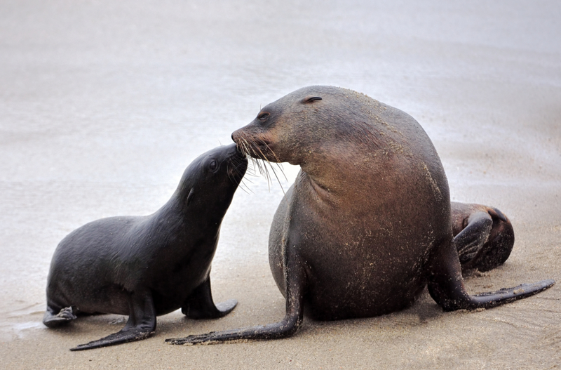Sealing a Kiss | Getty Images Photo by Freder