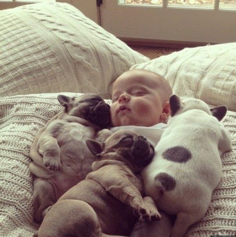 Cuteness Overload: These Babies With Their Furry Friends Will Melt Your Heart | Imgur.com/6bECAFV