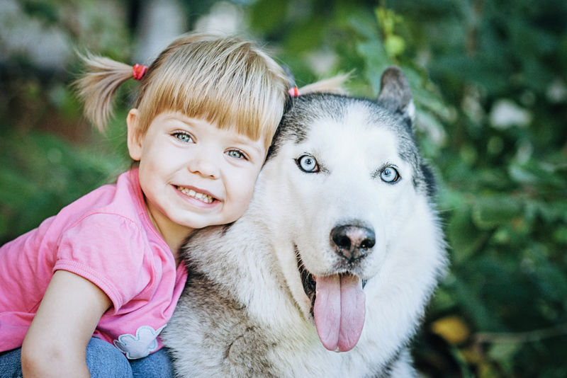 A Girl and Her Husky | Shutterstock