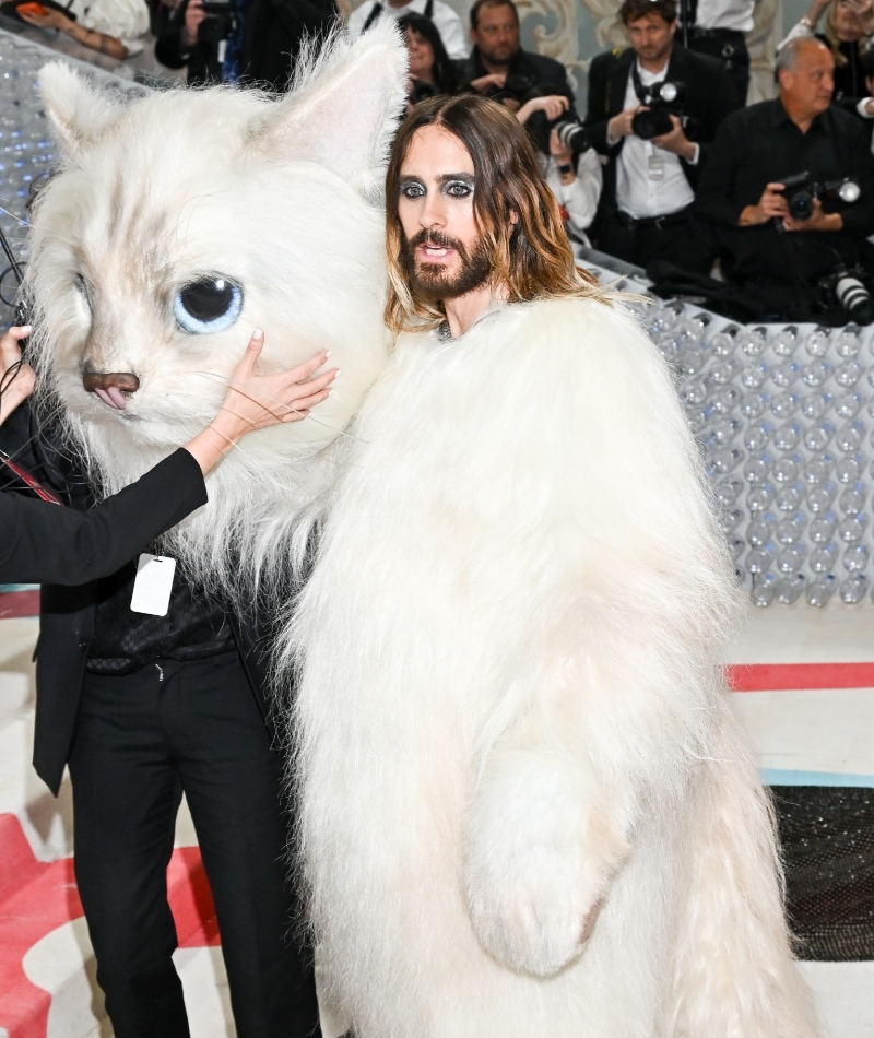 Yes, There's a Cat on the Red Carpet | Getty Images Photo by Michael Buckner/Variety