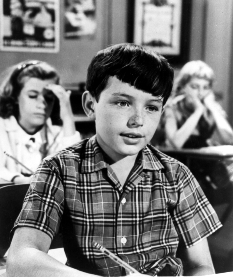 Jerry Mathers Wanted to Go to High School Like Regular Kids | MovieStillsDB Photo by MoviePics1001/production studio