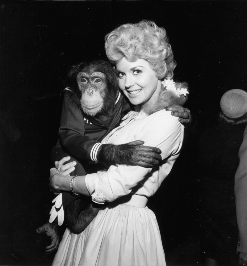 Donna Douglas as ‘Elly May Clampett’ - The Beverly Hillbillies, 1962 | Alamy Stock Photo by Globe Photos/ZUMAPRESS.com/Alamy Live News