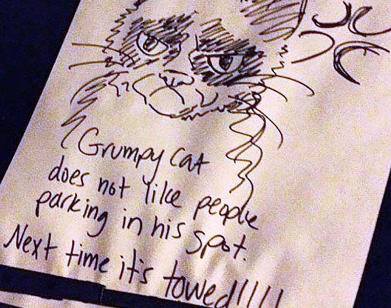 Grumpy Cat's Disapproval | Imgur.com/kDupD