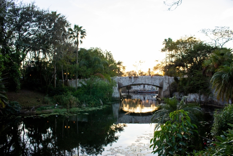 Disney’s Discovery Island – Lake Buena Vista, Florida | Alamy Stock Photo