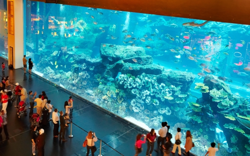 Largest Aquarium in the World | Alamy Stock Photo
