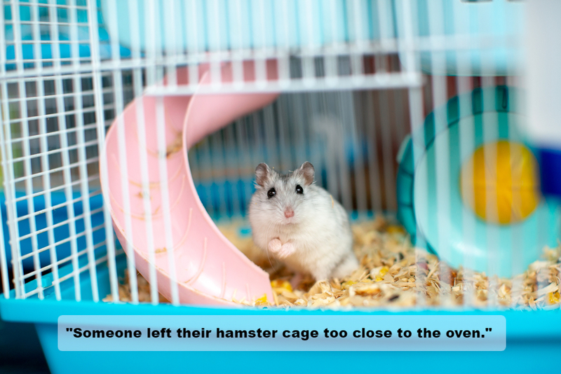 His Hamster Is Cooked | Shutterstock