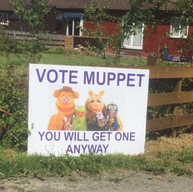 Muppets para todos | Twitter/@KarenShort8