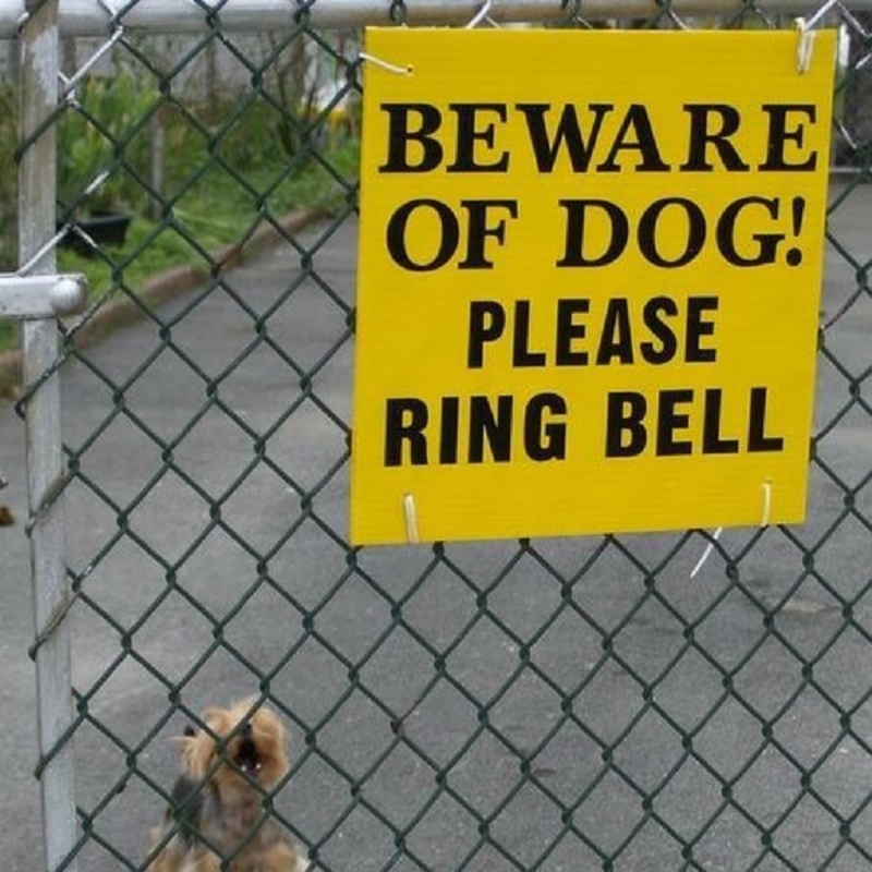 ¿Cuidado con el perro? | Flickr Photo By LGagnon