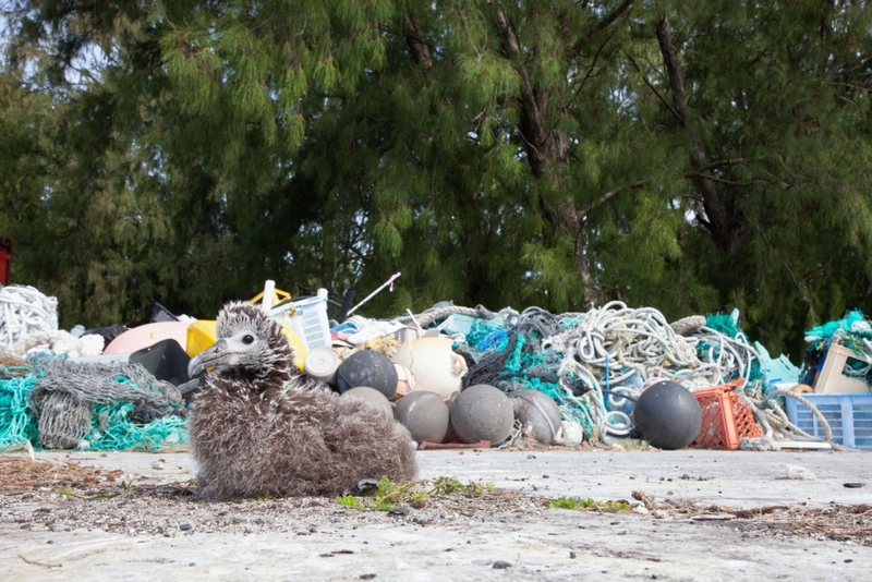 The North Pacific Garbage Patch | Alamy Stock Photo