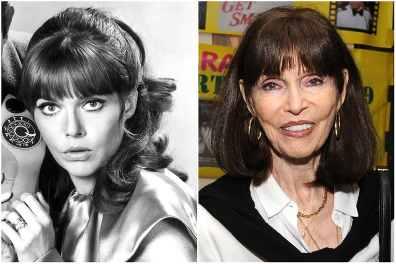 Nude Barbara Feldon Blowjob - Blast From The Past: Women From Popular TV Shows & Movies â€“ Page 69