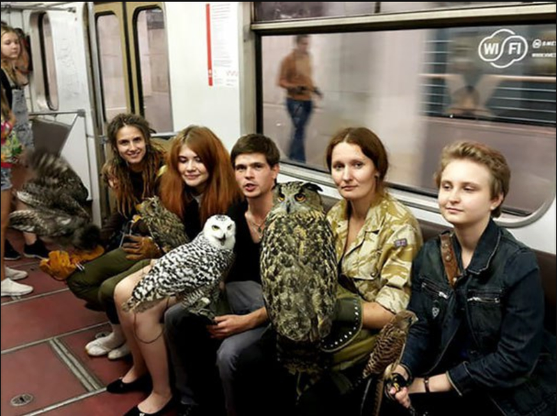 Tomar el metro puede ser muy divertido | Reddit.com/Loftz0r