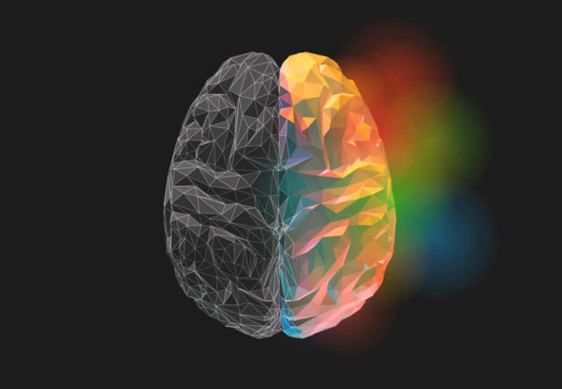 There Are Left-Brained and Right-Brained People | Shutterstock