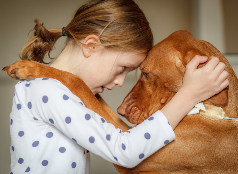 Si su perro se muestra preocupado por una parte de tu cuerpo, ve a que lo revisen | Getty Images photo by Deborah Pendell