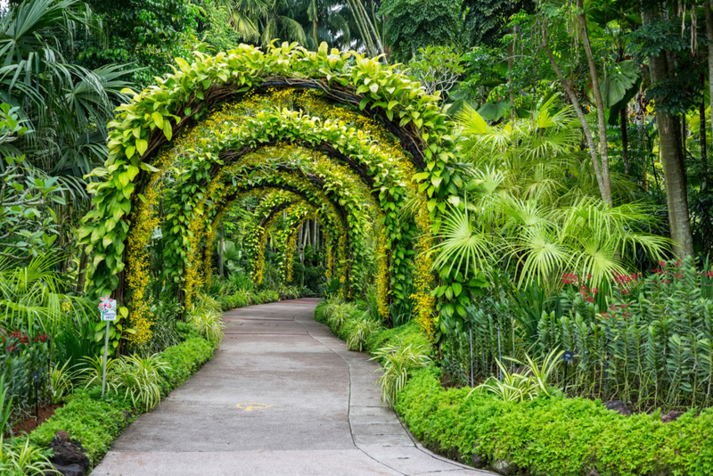 Jardines Salvajes | Alamy Stock Photo by Charles O. Cecil