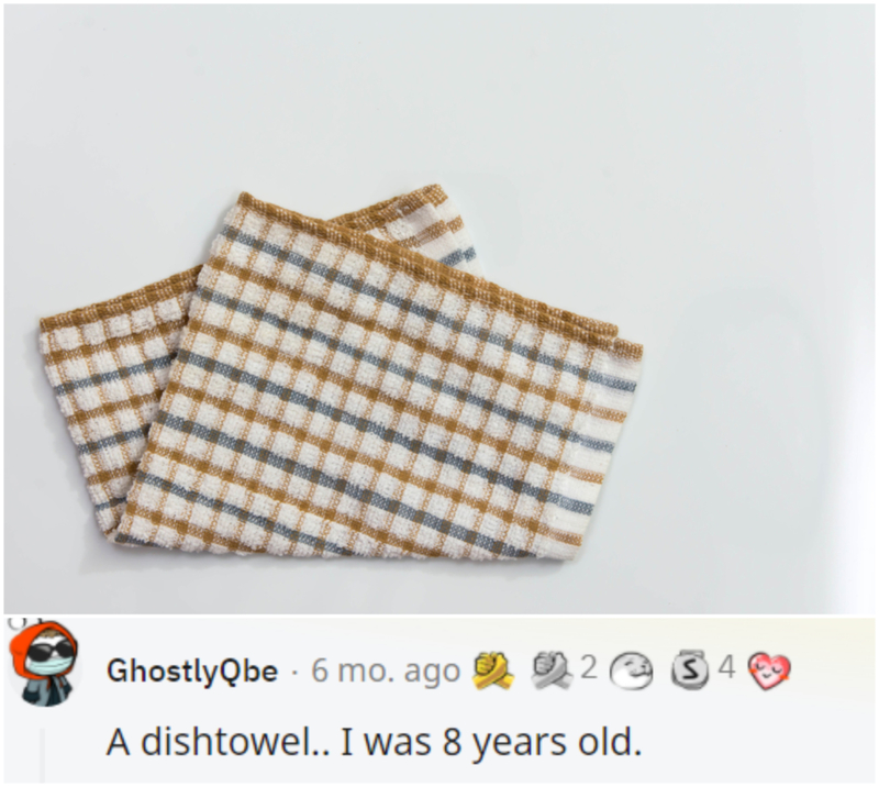 A Dishtowel? | Shutterstock & Reddit.com/GhostlyQbe