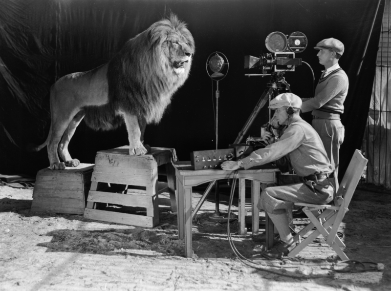 El león de MGM | Getty Images Photo by John Kobal Foundation