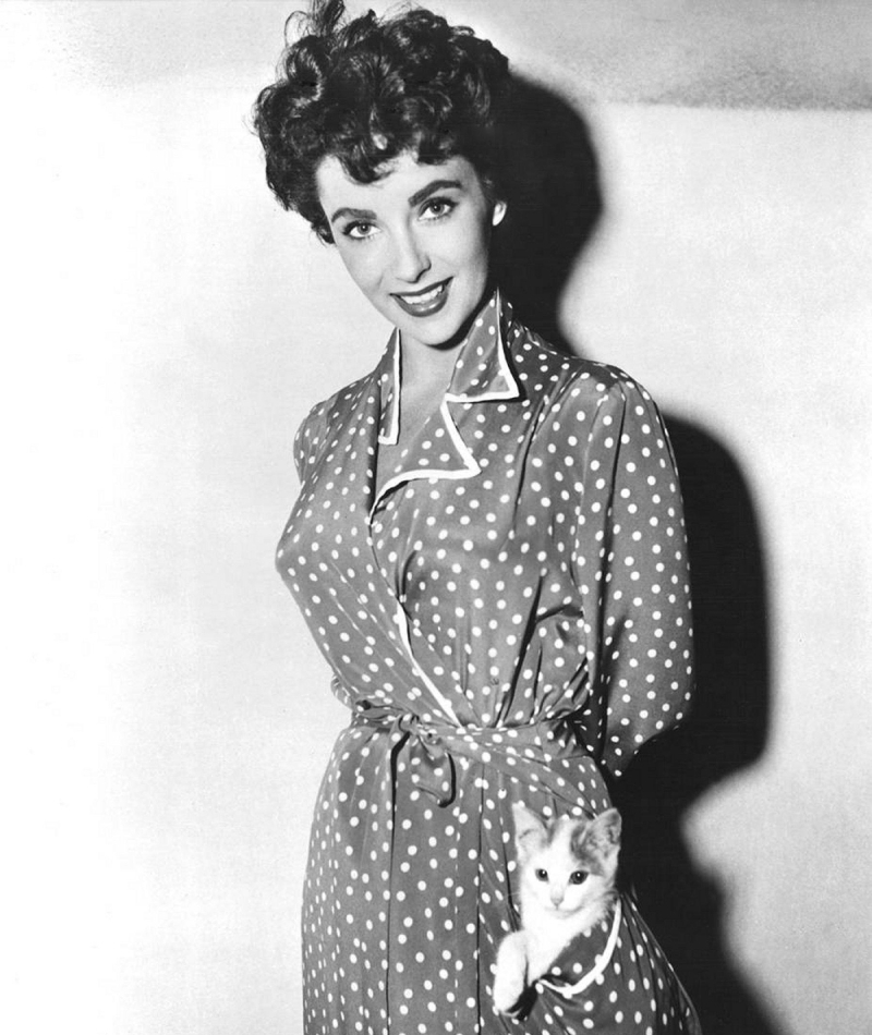 El gatito de Elizabeth Taylor, 1953 | Alamy Stock Photo by Everett Collection Inc 
