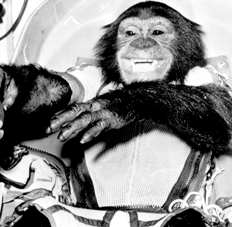 Ham, el chimpancé | Getty Images Photo by HUM Images/Universal Images Group
