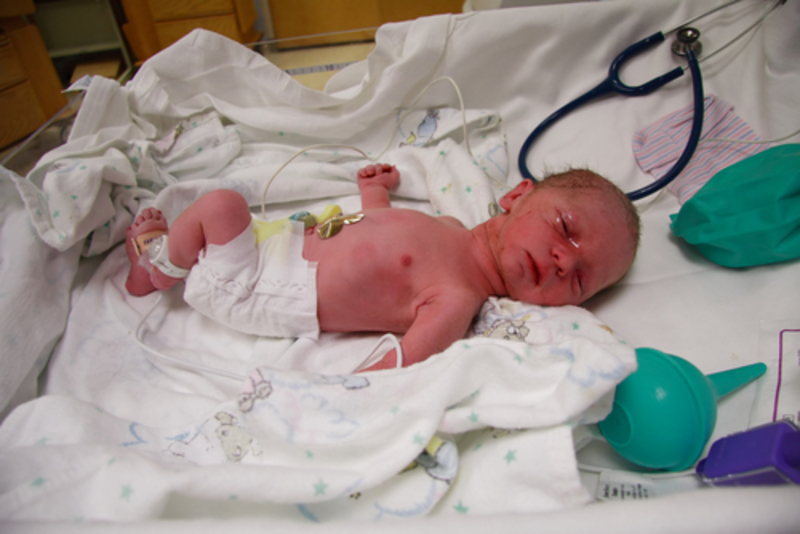 New Baby Girl | Donald Joski/Shutterstock
