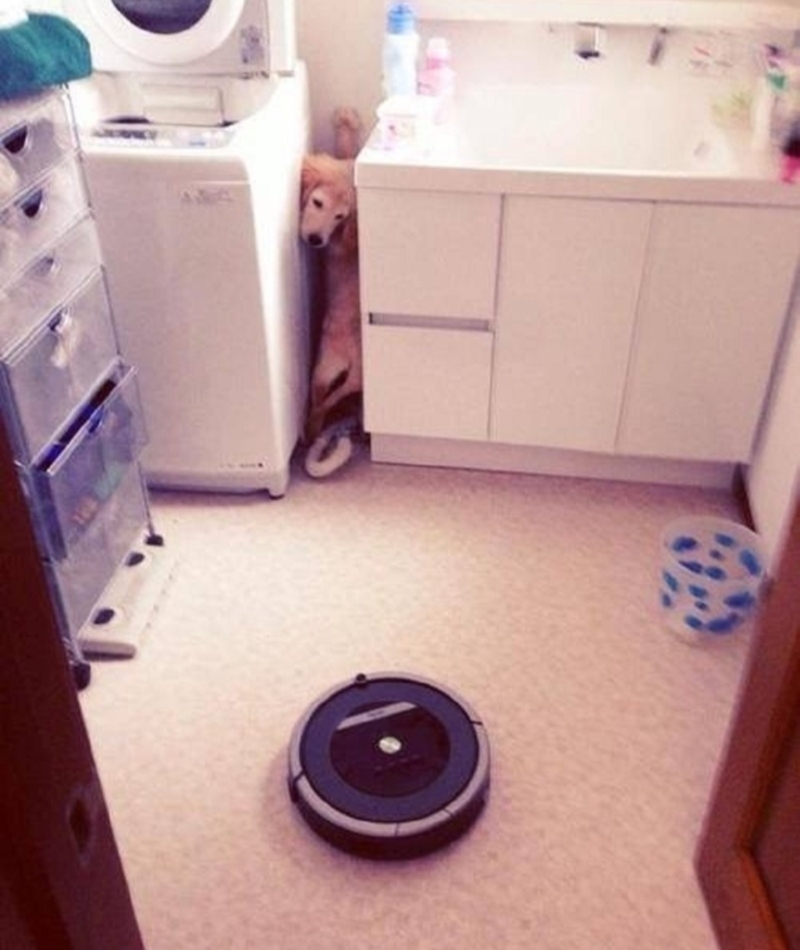 Roomba Monster | Imgur.com/yeLjM2e