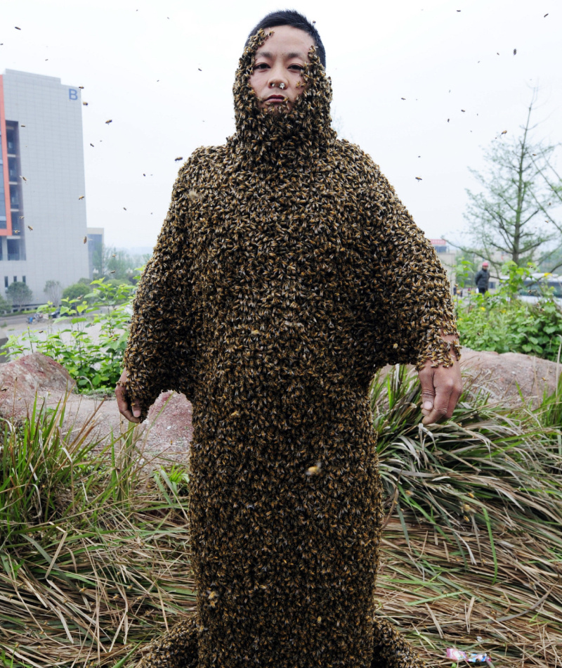 Queen Bee Realness! | Alamy Stock Photo by Imaginechina Limited 