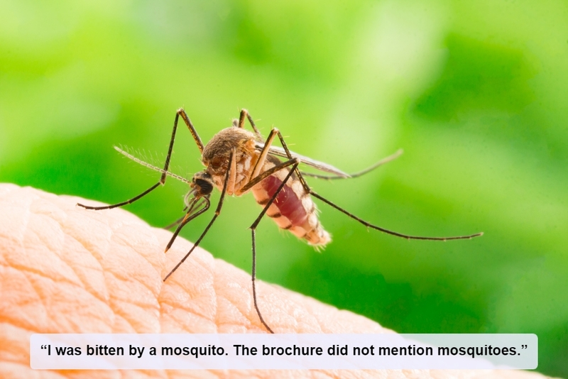 Always Assume Mosquitoes | Shutterstock