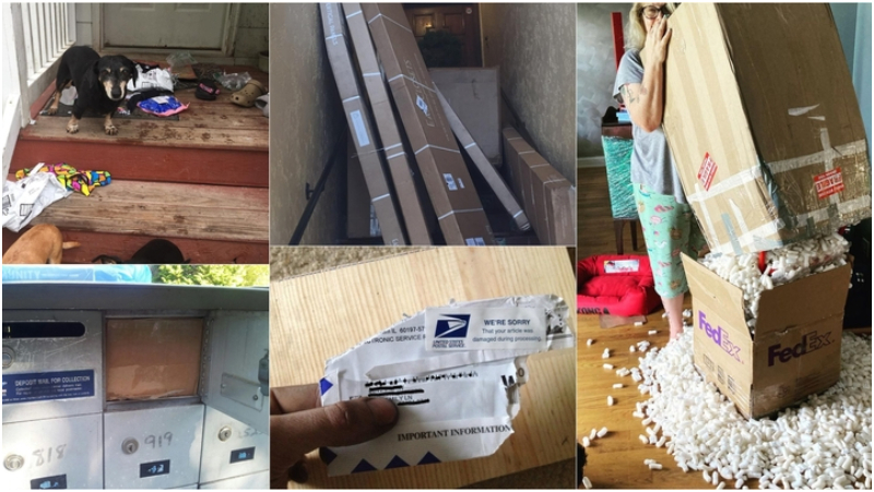 These Hilarious Delivery Fails Will Make You Lose Faith in Humanity | Instagram/@apace75 & Reddit.com/carpwrist & Instagram/@regcallan & Reddit.com/robtheimpailer & Instagram/@nicwritesbooks