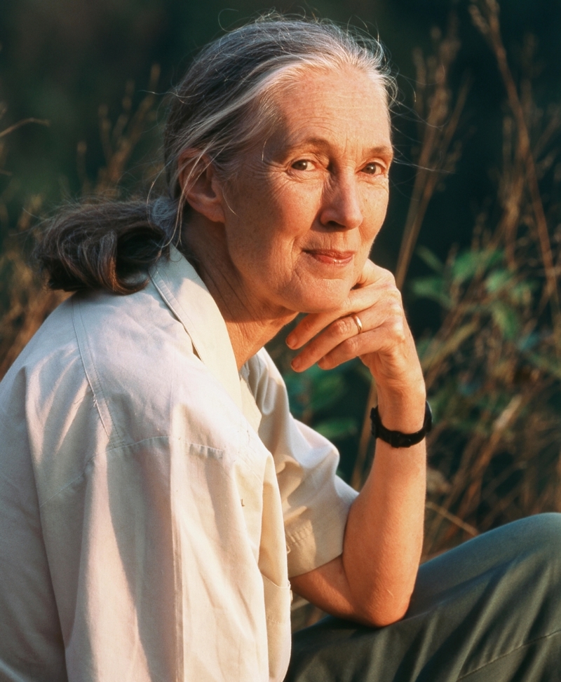Jane Goodall | Alamy Stock Photo by Kristin Mosher/DanitaDelimont