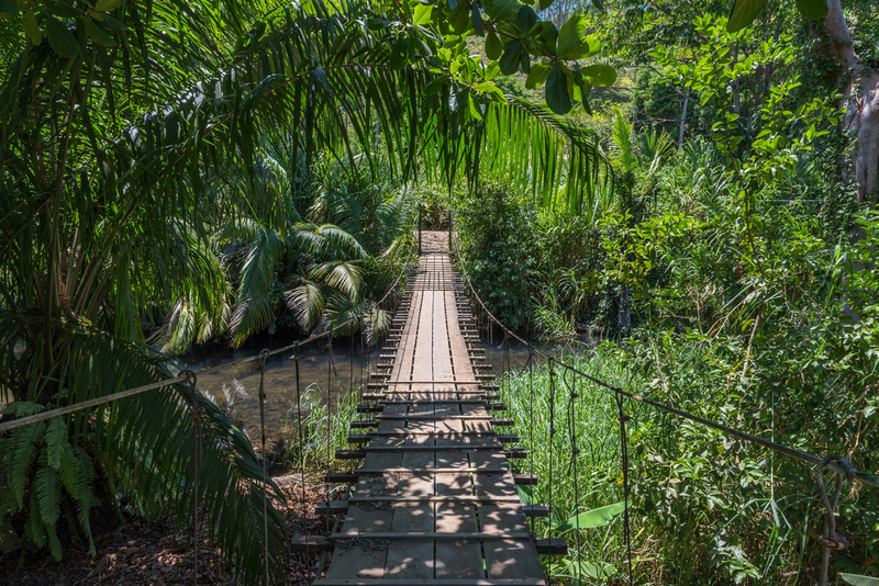 Puente colgante de Bahía Drake, Costa Rica | Shutterstock Photo by Rainer Lesniewski