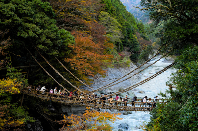 Puente de Iya Kazurabashi o puente de lianas, Japón | Alamy Stock Photo by CulturalEyes-AusGS2