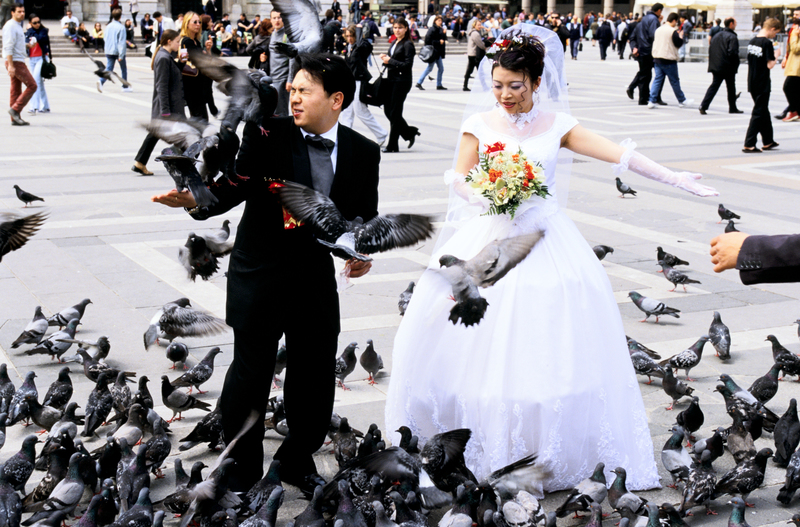 No Doves, Then | Getty Images Photo by Roger Hutchings