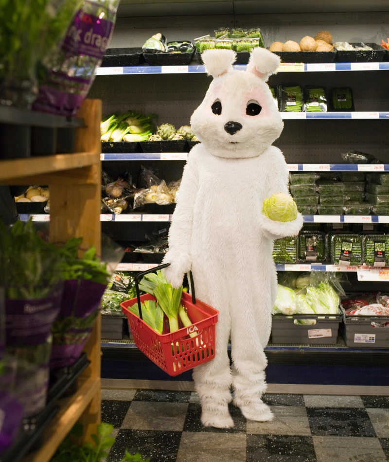 Nuestro conejo de Pascua favorito | Alamy Stock Photo