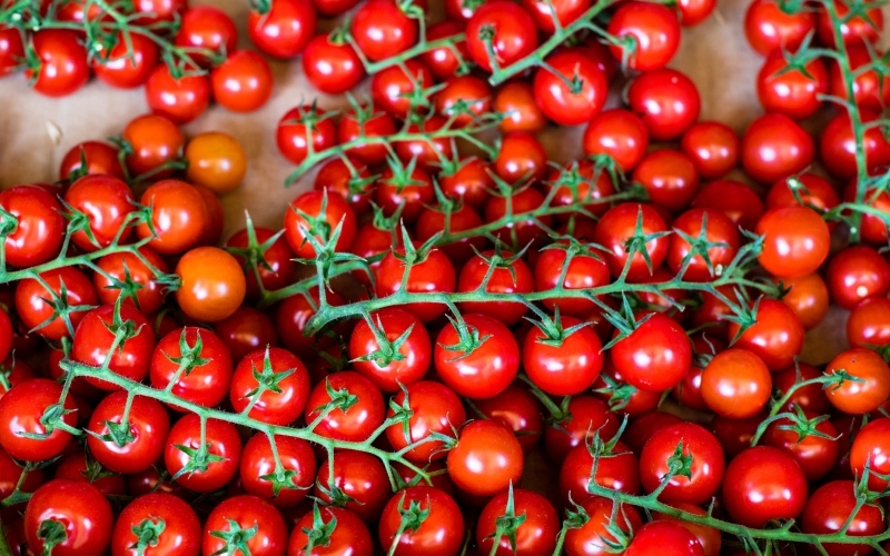 Bright Red Means Healthy | Shutterstock Photo by 1Roman Makedonsky
