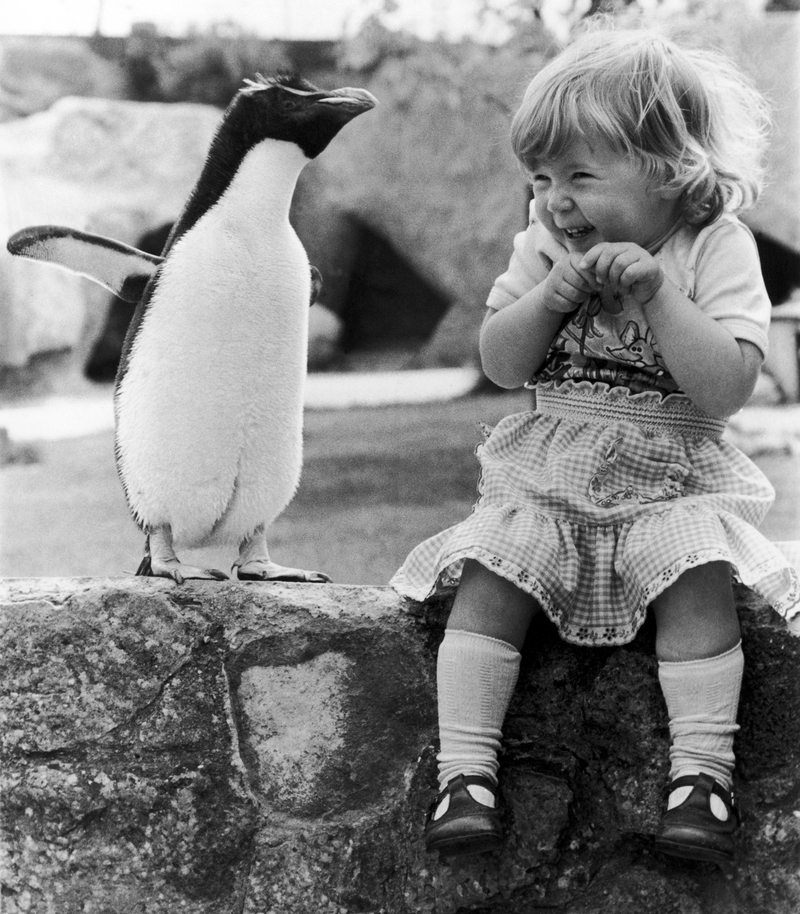 A Silly Little Penguin Makes a Little Girl Smile | Alamy Stock Photo by Trinity Mirror/Mirrorpix