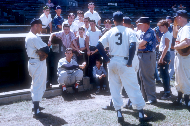 TED WILLIAMS | Getty Images Photo by Hy Peskin Archive