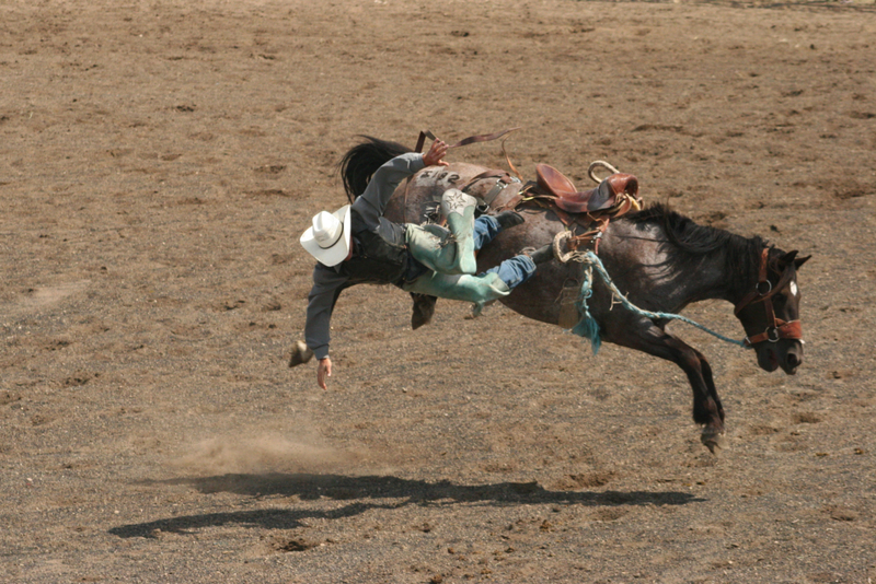 RODEO RIDER | Getty Images Photo by ImagineGolf