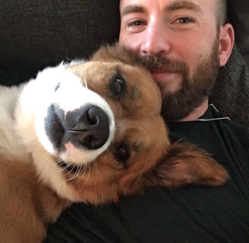 La compasión canina de Chris Evans | Instagram/@chrisevans