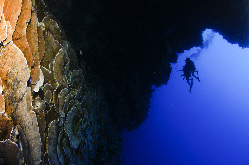 Underwater Vertigo | Shutterstock